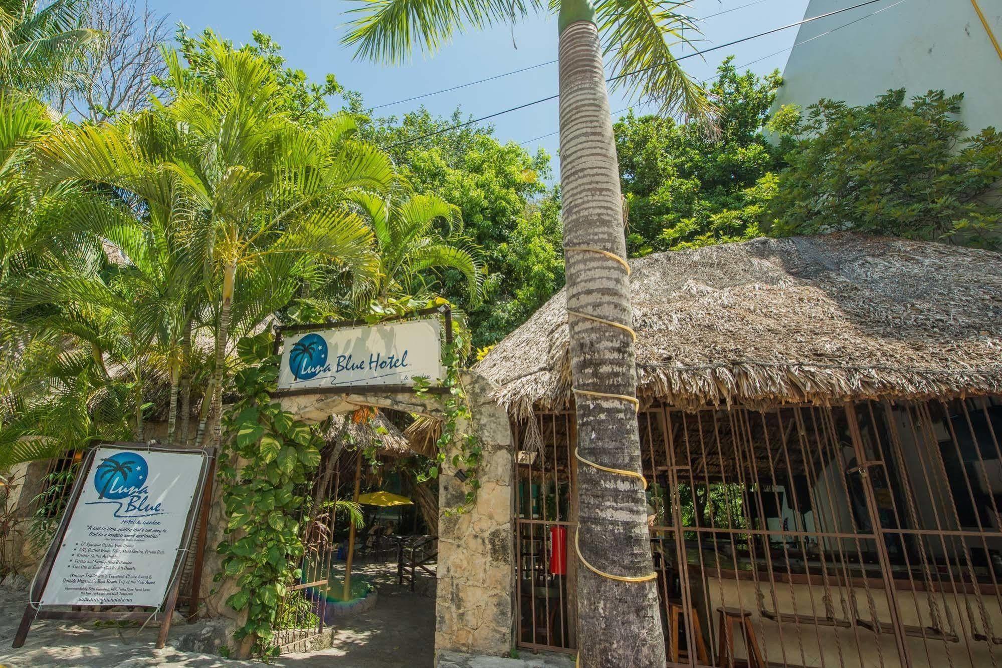 Luna Blue Hotel Πλάγια Ντελ Κάρμεν Εξωτερικό φωτογραφία