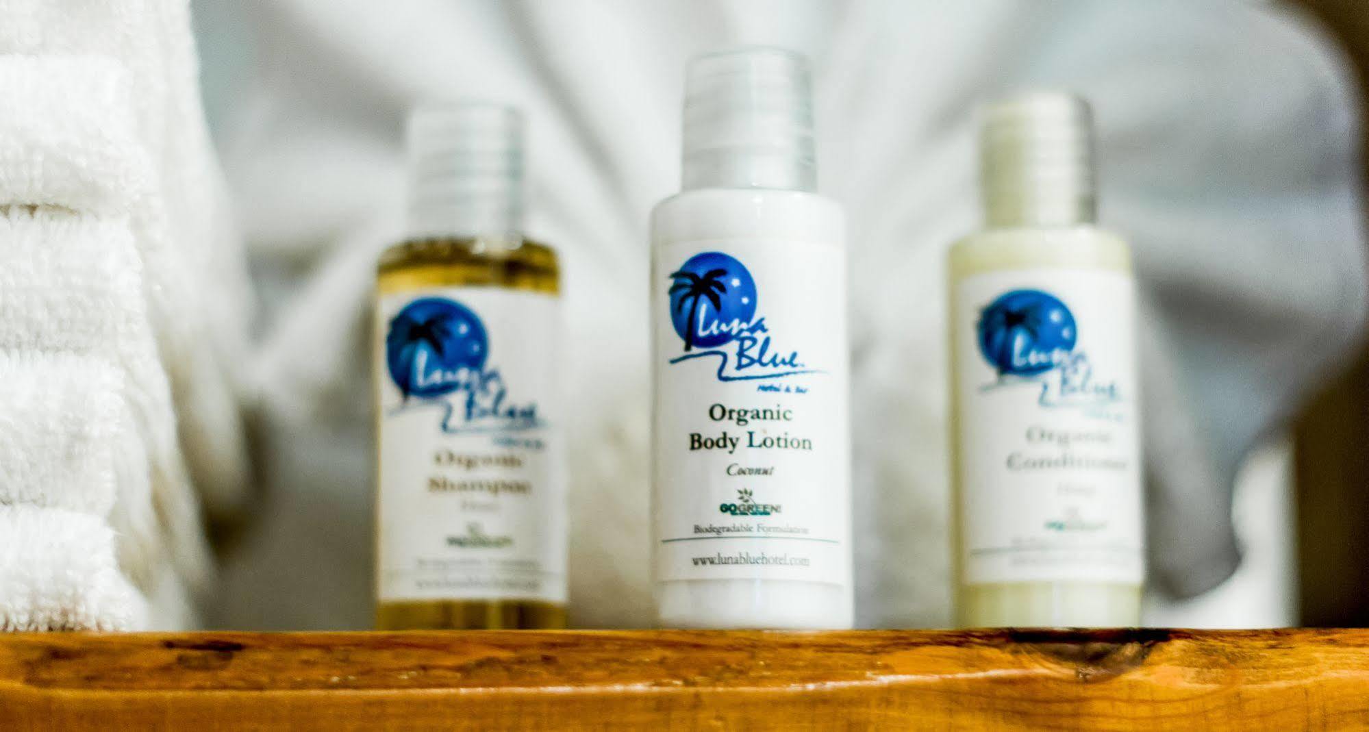 Luna Blue Hotel Πλάγια Ντελ Κάρμεν Εξωτερικό φωτογραφία